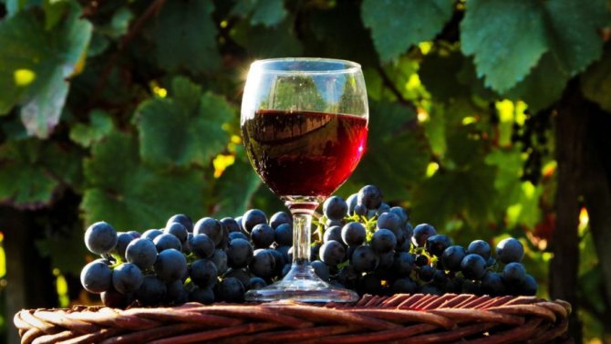 Почему долго бродит домашнее вино